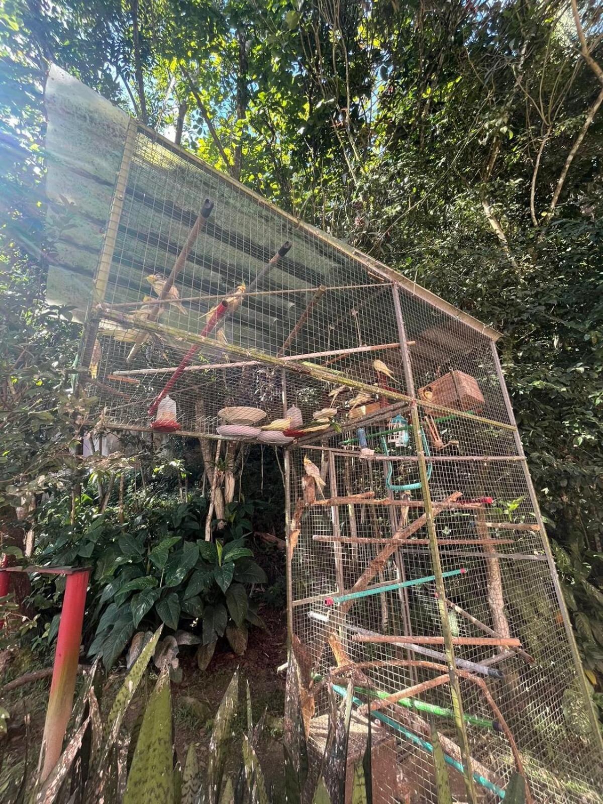 Ape Do Salomao Apartment Balneario Camboriu Bagian luar foto